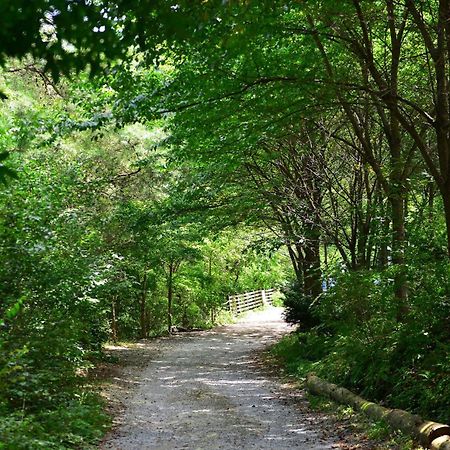 Haneulbit Gwangang Nongwon Ξενοδοχείο Chuncheon Εξωτερικό φωτογραφία