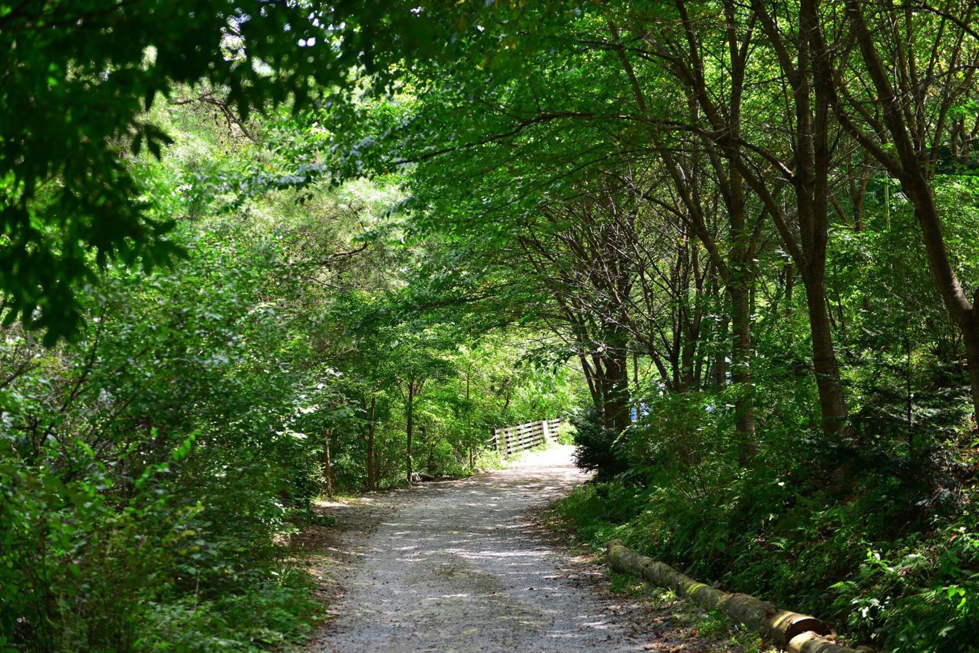 Haneulbit Gwangang Nongwon Ξενοδοχείο Chuncheon Εξωτερικό φωτογραφία